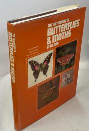 The Dictionary of Butterflies and Moths in Colour