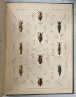 Monograph of the family of Nitidulariae.