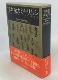 日本産カミキリムシ