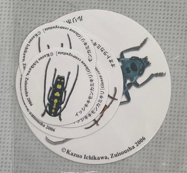 へなちょこカミキリロード : 初心者のためのカミキリムシ入門(市川和雄