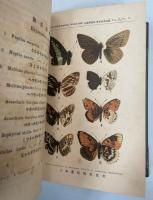 昆蟲学雑誌 1巻1号－4巻1号(終刊)完揃　付録・日本昆蟲総目録 第二巻 甲虫之部