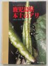 鹿児島県本土のアリ ＜かごしま自然ガイド＞