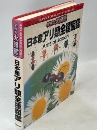 日本産アリ類全種図鑑