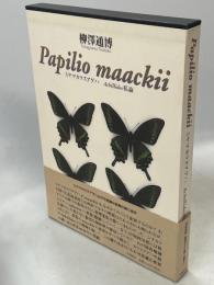 ミヤマカラスアゲハ : Achillides私論
