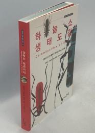 Cerambycidae of Korea