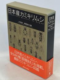 日本産カミキリムシ