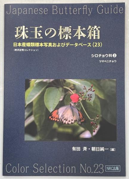 珠玉の標本箱 日本産蝶類標本写真およびデータベース(23)シロチョウ科