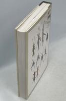 バッタ・コオロギ・キリギリス大図鑑 51VY0Z2AZ8L.jpg_BO30,255,255,