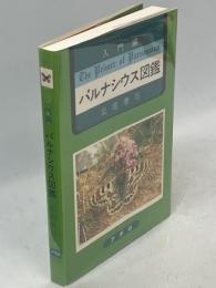 入門編パルナシウス図鑑