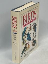 Illustrated Guide to the Birds of Southern Africa