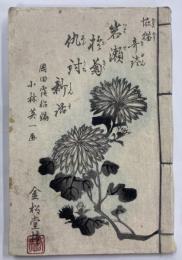 怪猫奇談岩瀬於菊仇討新話