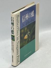信州の蝶