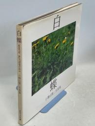 白蝶 : 小桧山賢二写真集