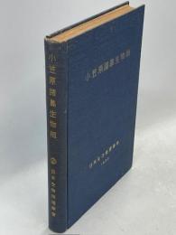 小笠原諸島生物相
