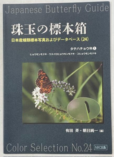 珠玉の標本箱 日本産蝶類標本写真およびデータベース(24