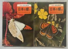 日本の蝶