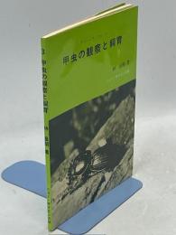 甲虫の観察と飼育