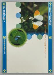 夏風に舞う : 高山蝶と森の蝶ゼフィルス : 富山県「立山博物館」平成21年度特別企画展