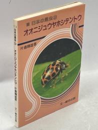 日本の昆虫⑩オオニジュウヤホシテントウ