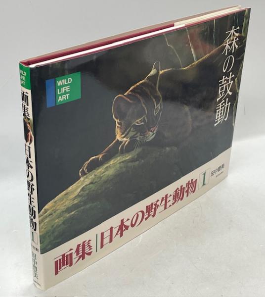 画集日本の野生動物(田中豊美著) / 古本、中古本、古書籍の通販は