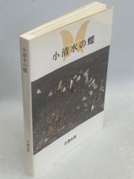 小清水の蝶