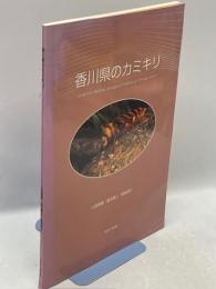 香川県のカミキリムシ