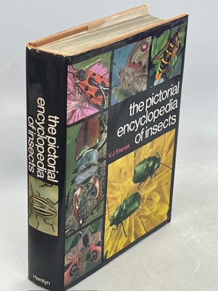 日本アルプス(田淵行男 著) / 南陽堂書店 / 古本、中古本、古
