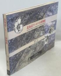北海道アンモナイト博物館