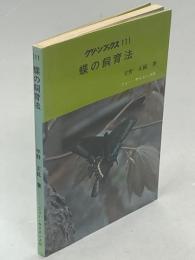 蝶の飼育法
