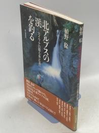 北アルプスの渓を釣る : 大イワナの躍る魚止滝へ