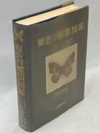 原色日本蝶類図鑑
