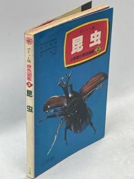 昆虫