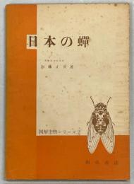 日本の蝉
