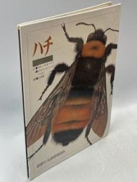 ハチ