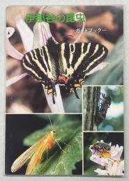伊那谷の昆虫 : ガイドブック