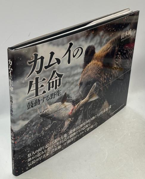 囁きと密告 : スターリン時代の家族の歴史(オーランドー