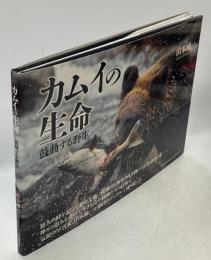 カムイの生命 鼓動する野生