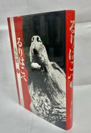 るりはこべ