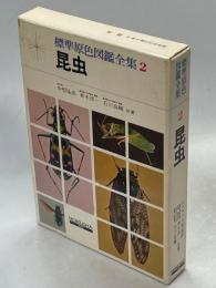 昆虫