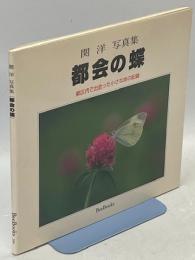 都会の蝶 : 都区内で出会った小さな命の記録 : 関洋写真集