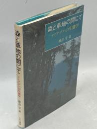 森と草地の間にて : ナミアゲハの生態学