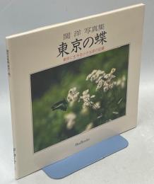 東京の蝶 : 東京に生きる小さな命の記録 関洋写真集