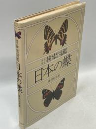 検索図鑑日本の蝶