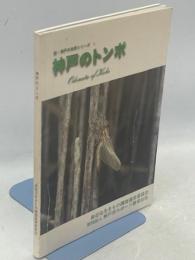 神戸のトンボ