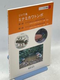 ジャワ島　ミナミカワトンボ