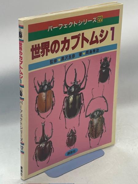 銅版画で辿る化石図鑑~ アンモナイトと恐竜時代の生物 | 福岡