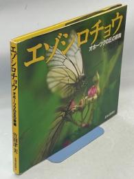 エゾシロチョウ : オホーツクの丘の群舞