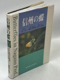 信州の蝶