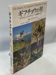 ギフチョウの里　ギフチョウ・ヒメギフチョウその混棲と生活史
