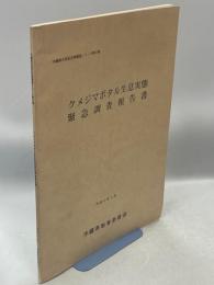 クメジマボタル生息実態緊急調査報告書